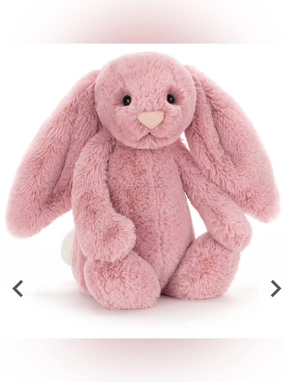 Jellycat Bashful Tulip Bunny BNWT (Medium)